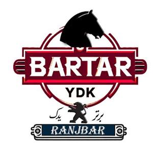 لوگوی برتر یدک